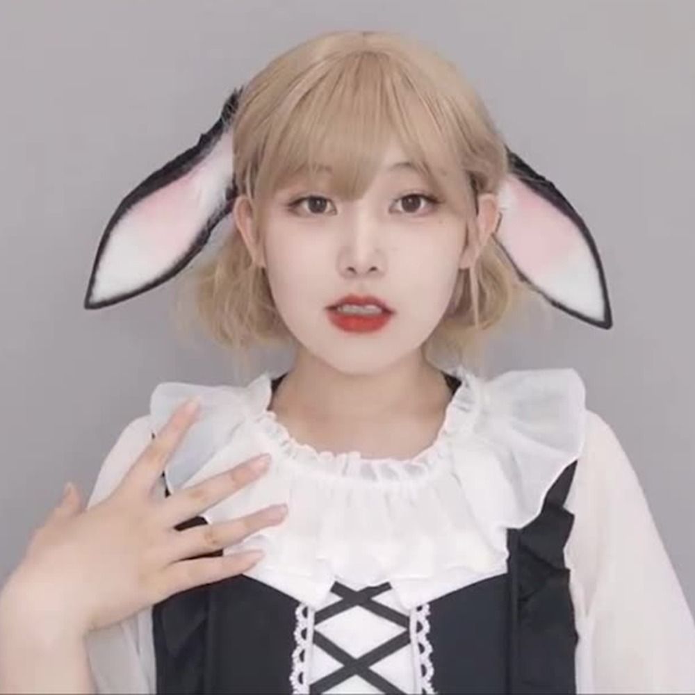 Anime Bunny Ears Dropped Ear R - Anime Cosplay Girl Photo 评论和价格